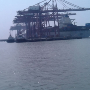 Export Trade & Training 