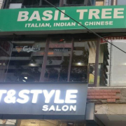 Basil Tree