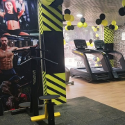 The Thor Gym