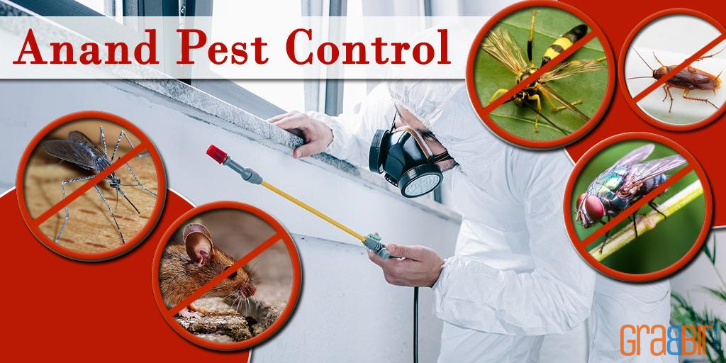 Anand Pest Control 