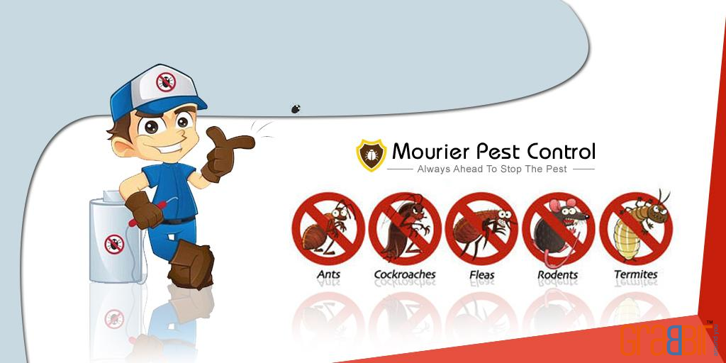 Mourier Pest Control 