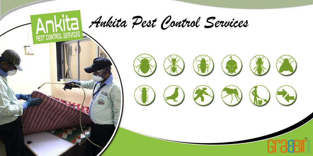 Ankita Pest Control Services Ankita Pest Control Services