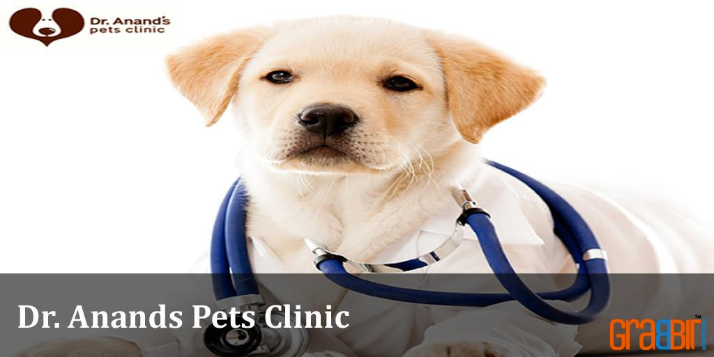 Dr. Anands Pets Clinic