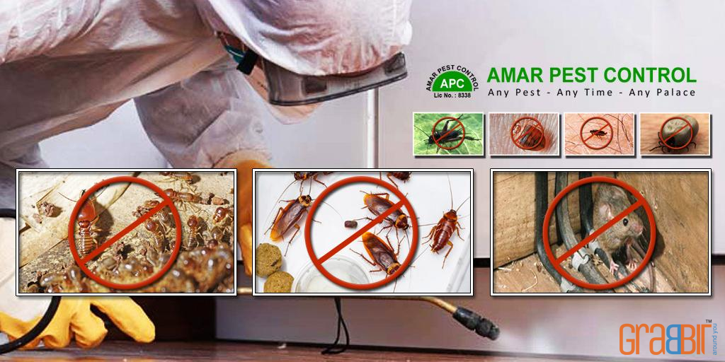 Amar Pest Control 