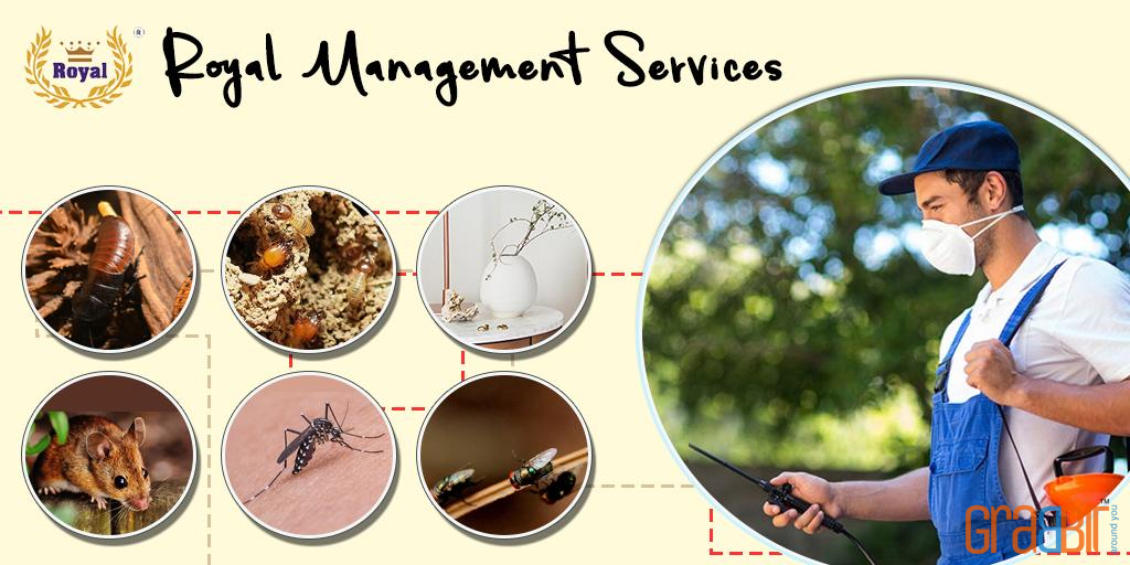 Royal Management Services Royal Management Services