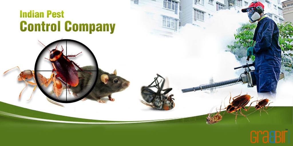 Indian Pest Control Company