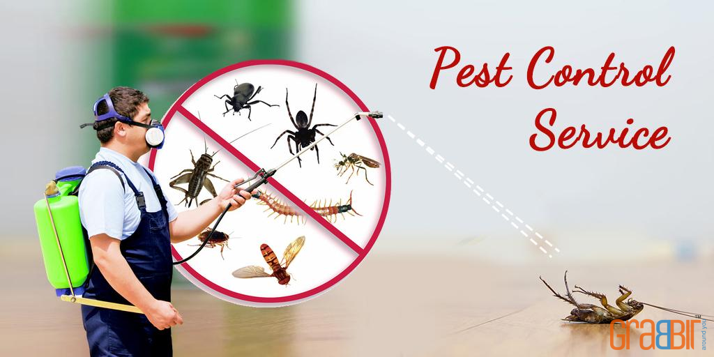 Pest Control Service